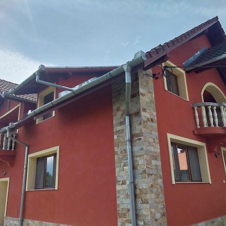Serena House Cîrţişoara 外观 照片
